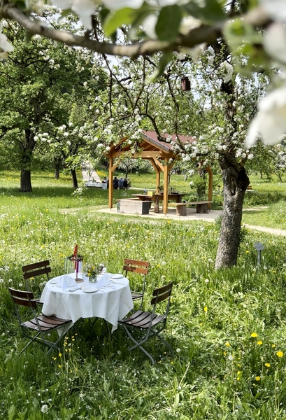 Holzpavillon am Streuobst-Lehrpfad