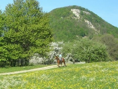 Reiten in Bad Ditzenbach
